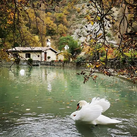 Pianpieve Nature & Relax Apartment *