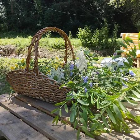 Pianpieve Nature & Relax Apartment