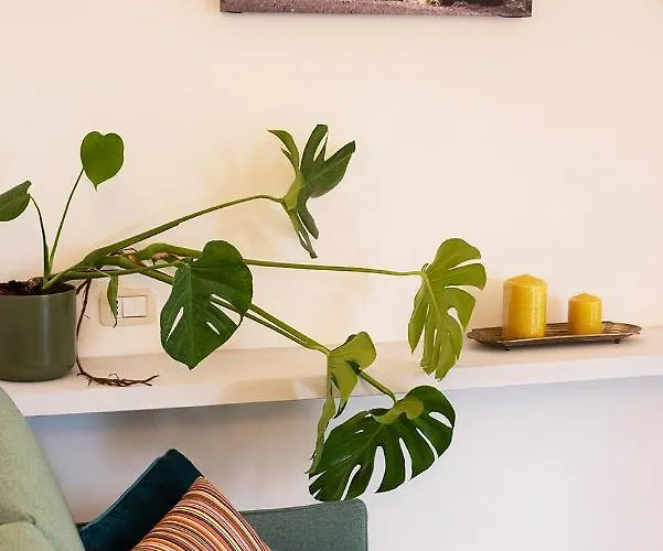 Lejlighed Pianpieve Family Apartments Vicino Assisi Assisi